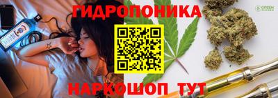 СК Кингисепп
