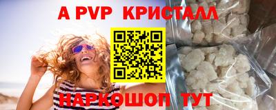 СК Кингисепп