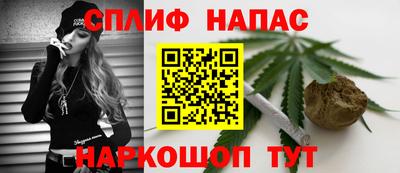 СК Кингисепп