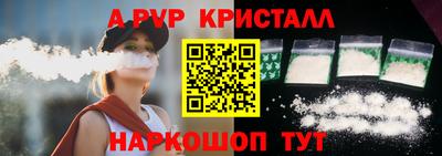 СК Кингисепп