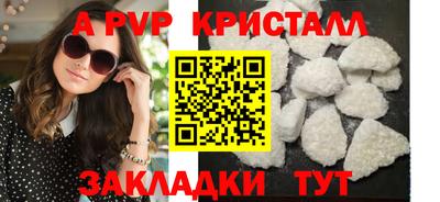 СК Кингисепп