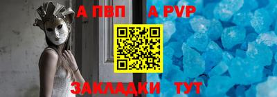 СК Кингисепп