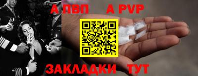 СК Кингисепп