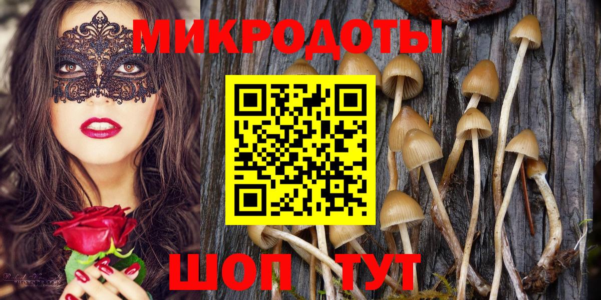даркнет сайт  Псилоцибиновые грибы Magic Shrooms  Вход с VPN  Краснокаменск 